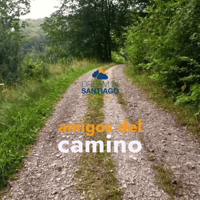 Amigos del Camino dream in santiago